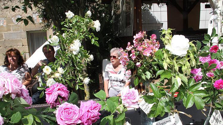 Hinter blühenden Rosenbüschen setzten sich viele Besucher des Rosentags nieder, um den Anblick zu genießen. Foto: Gerda Völk