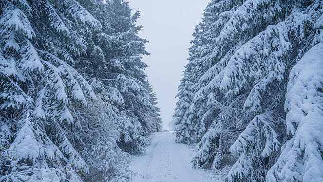 Erster Schnee in Franken angekommen: Zauberhafte Bilder vom Schneeberg