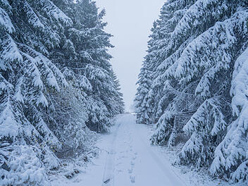 Erster Schnee in Franken angekommen: Zauberhafte Bilder vom Schneeberg