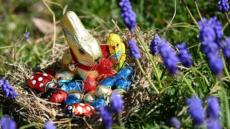 WhatsApp-Grüße zu Ostern: Die besten Sprüche und Grüße zu Ostern 2024