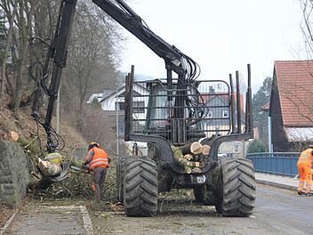 Die gefällten Bäume wurden in Stücke geschnitten und verladen. Rechts säuberte ein Mitarbeiter der Straßenmeisterei die Straße von kleinen Ästen.  Foto: Friedwald Schedel