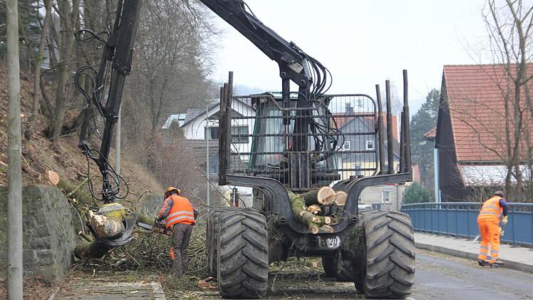 Die gefällten Bäume wurden in Stücke geschnitten und verladen. Rechts säuberte ein Mitarbeiter der Straßenmeisterei die Straße von kleinen Ästen.  Foto: Friedwald Schedel