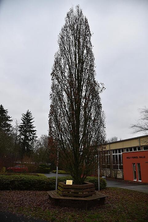 03.01.2016  Fotoreportage Lützelbuch