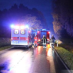 Alfa schleudert im Kreis Hof gegen Bäume