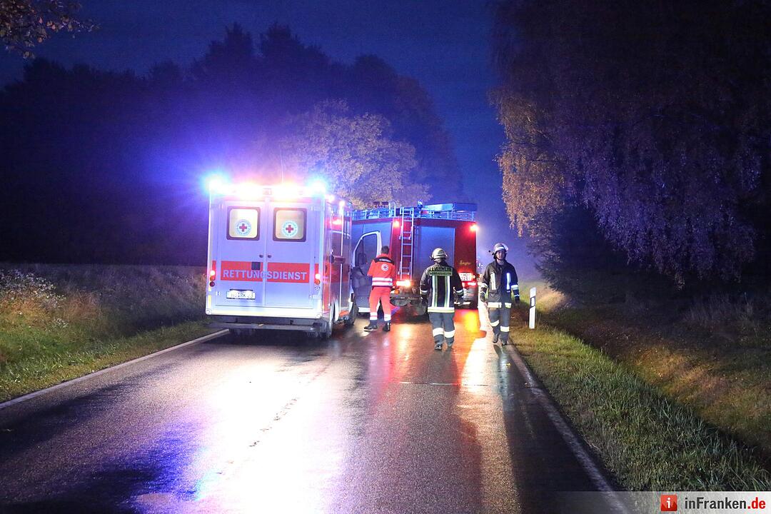 Alfa schleudert im Kreis Hof gegen Bäume