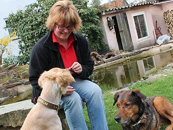Nicole Trunk hat immer ein Auge darauf, was ihre Hunde Sheila (links) und Djego fressen. Foto: Benedikt Borst