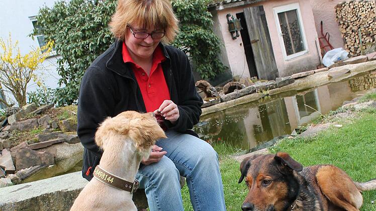 Nicole Trunk hat immer ein Auge darauf, was ihre Hunde Sheila (links) und Djego fressen. Foto: Benedikt Borst