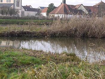 Die Naturschützer haben in Röttenbach einen Weiher gepachtet. Foto: Pauline Lindner