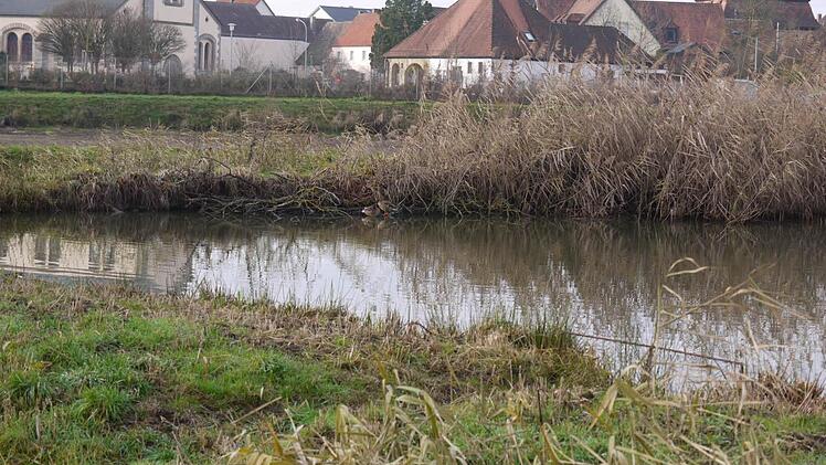 Die Naturschützer haben in Röttenbach einen Weiher gepachtet. Foto: Pauline Lindner