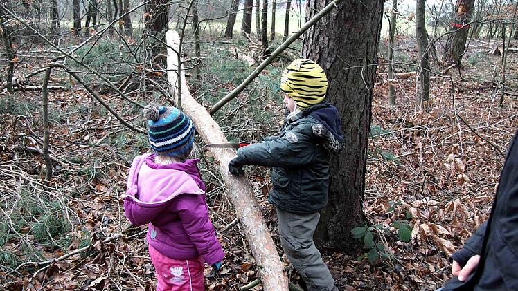 Eindrücke vom Aktionsnachmittag "Säge frei"   Richard Sänger
