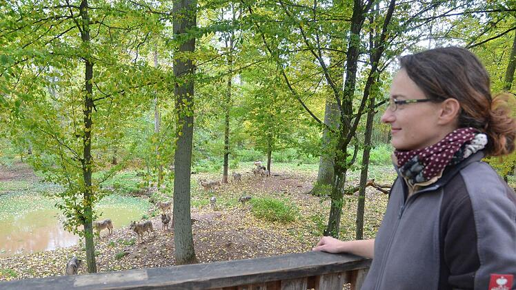 Anne Hornung hat die Wölfe im Tierpark von Schloss Tambach gerufen und sie sind gekommen. Fotos: Rainer Lutz