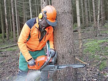 Der Borkenkäfer bescherte den Waldbauern viel Arbeit und wenig Erlöse, der WBV Lichtenfels-Staffelstein hingegen eine deutliche Gewinnsteigerung.