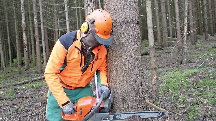 Der Borkenkäfer bescherte den Waldbauern viel Arbeit und wenig Erlöse, der WBV Lichtenfels-Staffelstein hingegen eine deutliche Gewinnsteigerung.