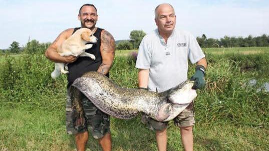 Kurz hinter Sterpersdorf in Richtung Weidendorf ging der Waller Rupert Kranner (r.) an den Haken. Markus Stenglein (l.) mit Dackelmischling Lucky als Größenvergleich. Foto: privat