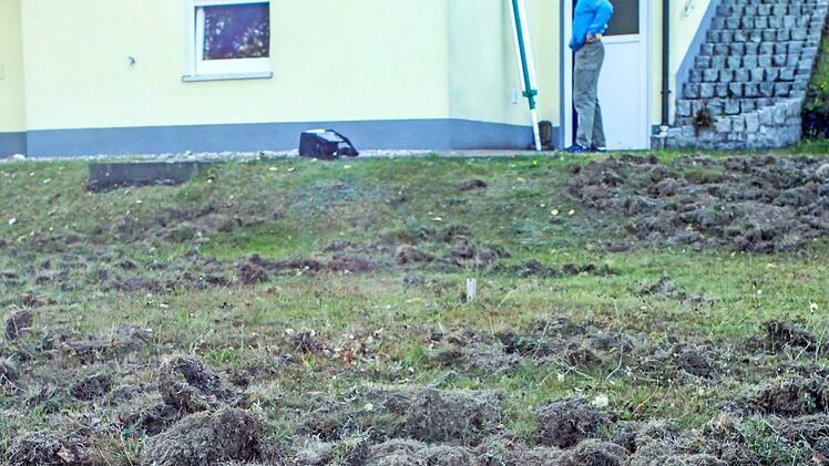 Im Garten der Familie Friedrich haben die Wildschweine gew&uuml;tet und den Rasen umgepfl&uuml;gt.  Foto: Michael Wunder