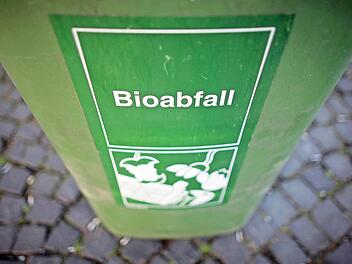 Mit dem 1. Januar gilt bundesweit eine strengere Sortierpflicht für Müll. Die Biotonne soll her. Ob sich das für den Kreis Kronach aber überhaupt lohnt, wird derzeit geprüft. Vor 2016 wird es keine neue Tonne geben, ob danach, wird sich zeigen. Foto: Fredrik von Erichsen/dpa