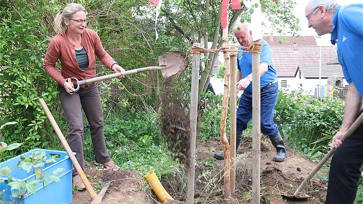 Dass der Baum gepflanzt und nicht gesägt wurde, erfreute die naturbewusste Ortsbeauftragte Elisabeth Assmann. Foto: Gerd Schaar