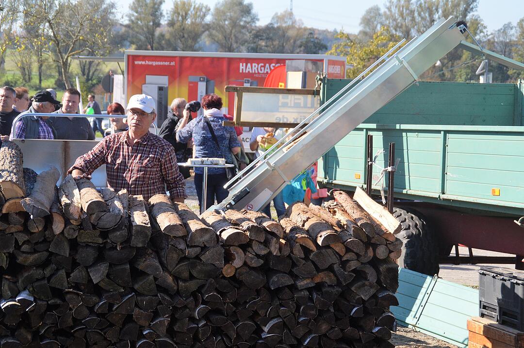 Holztag Scheinfeld 2017