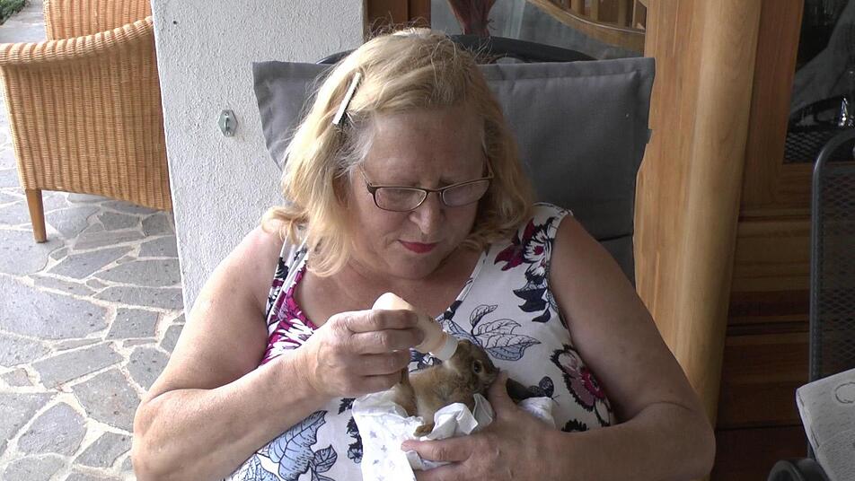 Mehrmals täglich wird der kleine Hase von 