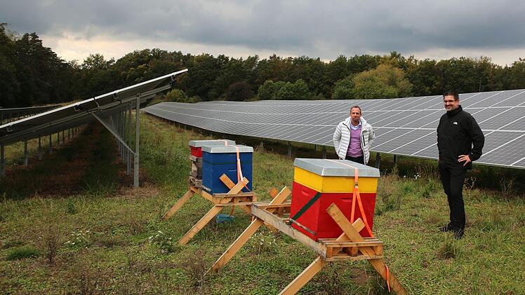 Energieerzeugung in Bürgerhand bietet der erste Solarpark der Bürgerenergiegenossenschaft Coburger Land am Ortsrand von Weidach. Er wurde am Samstag offiziell eingeweiht. Dazu konnte Vorstandsvorsitzender Christian Gunsenheimer (Mitte) den bayerischen Umweltminister Thorsten Glauber (links) und Weitramsdorfs Bürgermeister Andreas Carl begrüßen. Die ehemalige Ackerfläche bietet unter und neben den Modulen Raum für Flora und Fauna und soll noch weiter begrünt werden. Hobby-Imker Gunsenheimer ha...