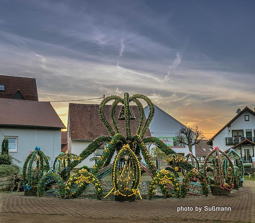 Die schönsten Frühlingsfotos aus Forchheim und Umgebung