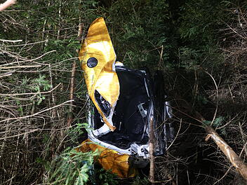 Auto kommt auf der A93 von Fahrbahn ab, durchbricht einen Wildschutzzaun und bleibt im Unterholz stecken