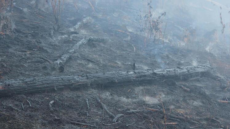 Foto: News5 / Fricke