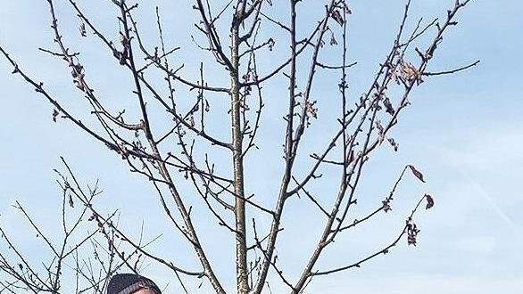 Obstbaumbeauftragter Wolfgang Reidelbach bringt gemeinsam mit den Kindern die Namensschilder f&uuml;r die neuen Obstbaumpaten an.