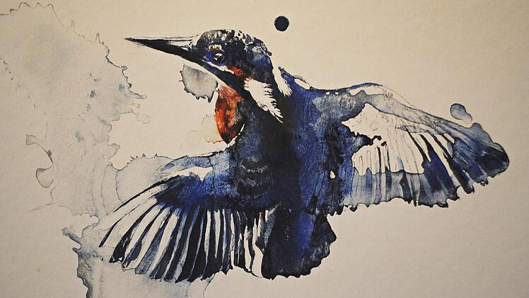 Benno Noll: Eisvogel