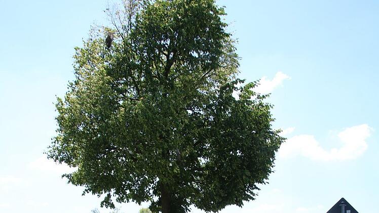 Trassierbänder sollen Passanten auf die drohende Gefahr hinweisen.Matthias Einwag