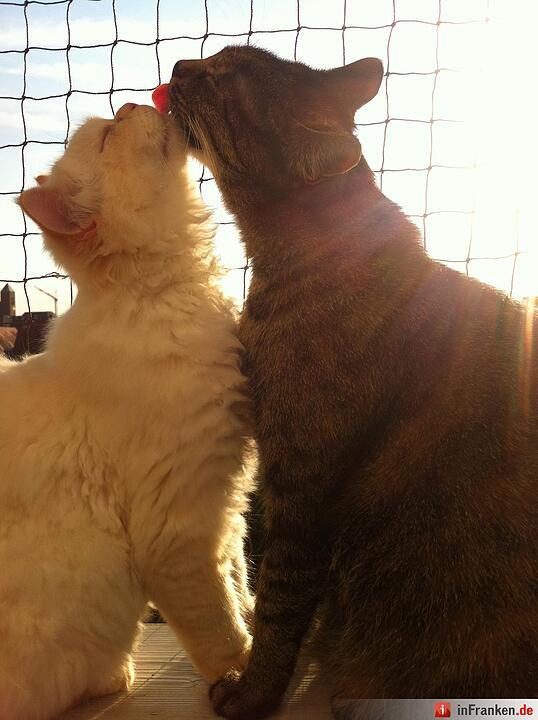 Foto: Sophie Martini