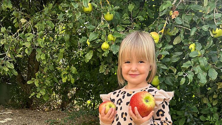 Burgebrach: Familie macht ungewöhnlichen Apfelfund - "unglaublich"