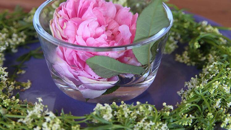 Wiesenlabkraut eignet sich auch als Dekopflanze (hier mit Duftrose).