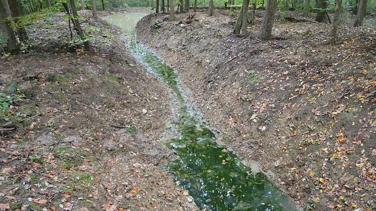 Das Wasser aus dem Rannunger See wurde abgelassen.Isolde Krapf