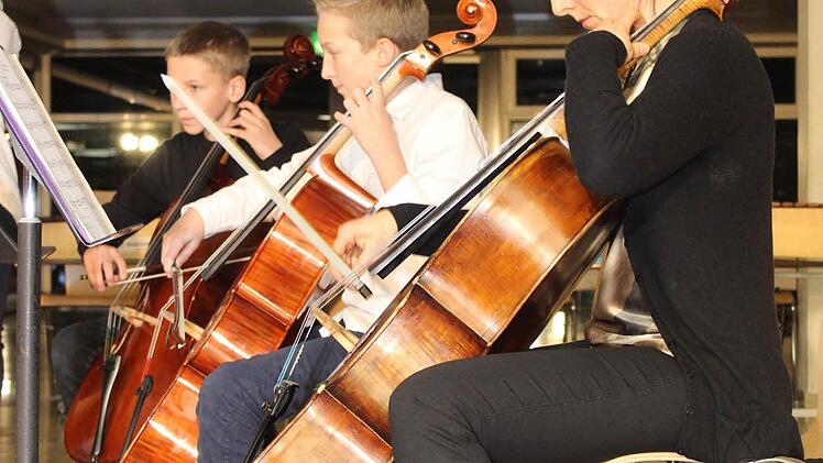 Mitglieder des Kammerorchesters