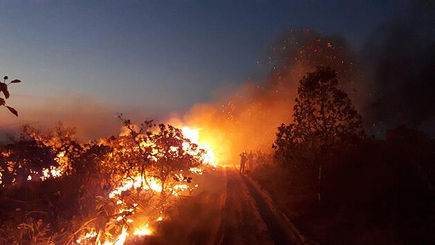 Die Lage im Amazonas wird immer brisanter: Der Regenwald steht in Flammen und in Deutschland debattiert man &uuml;ber Greta Thunbergs CO2-Bilanz. Foto: Christian Niel Berlinck/ICMBio/dpa