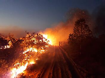Die Lage im Amazonas wird immer brisanter: Der Regenwald steht in Flammen und in Deutschland debattiert man über Greta Thunbergs CO2-Bilanz. Foto: Christian Niel Berlinck/ICMBio/dpa