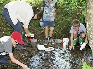 Mit Brenda Pfenning vom Umweltbildungszentrum suchten die Kinder am Weilersbach nach seinen Bewohnern.  Foto: Sabine Weinbeer