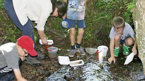 Mit Brenda Pfenning vom Umweltbildungszentrum suchten die Kinder am Weilersbach nach seinen Bewohnern.  Foto: Sabine Weinbeer