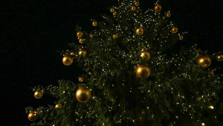 Foto: Barbara Herbst