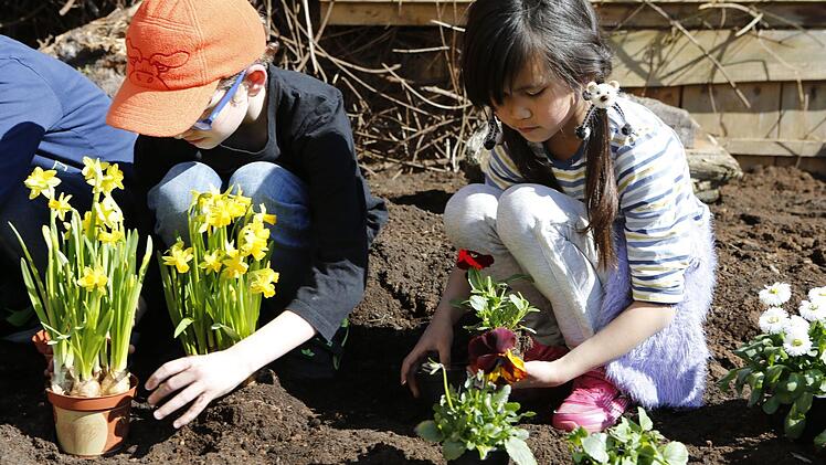 Blumen pflanzen mit den Garten- und Blumenfreunden Katschenreuth-Frankenberg Foto: Matthias Hoch