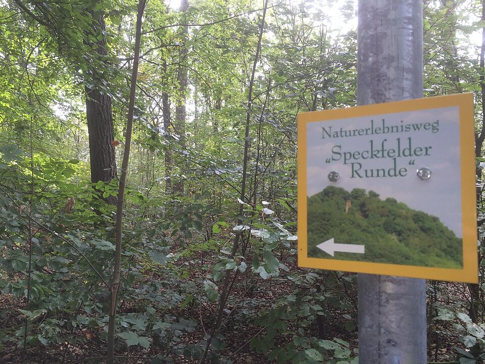 TraumRunde Iphofen