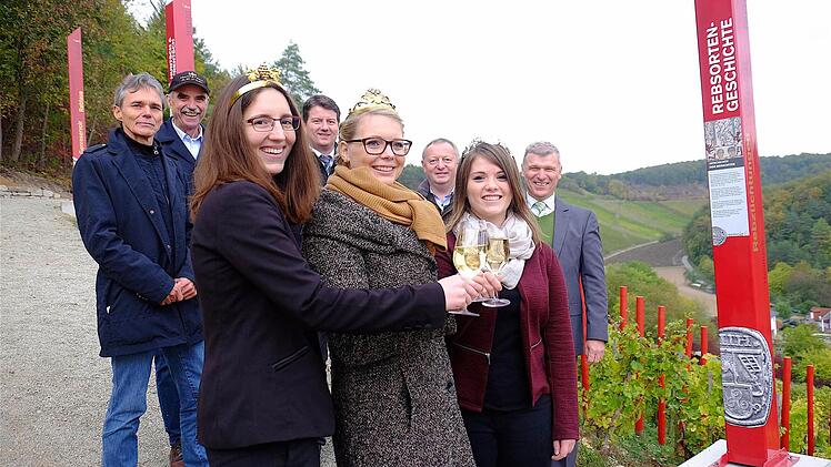 Stoßen auf den neuen Aussichtspunkt an (vorne, von links): die Weinprinzessinnen Marlene Büttner aus Wirmsthal, Miriam Gössmann-Schmitt aus Ramsthal und Annika Kuchenbrod aus Hammelburg. Hinten, von links: Georg Bätz (LWG), Artur Steinmann (Präsident des Fränkischen Weinbau-Verbandes), MdL Sandro Kirchner, Landrat Thomas Bold und Bürgermeister Alfred Gündling.  Foto: Gerd Schaar.