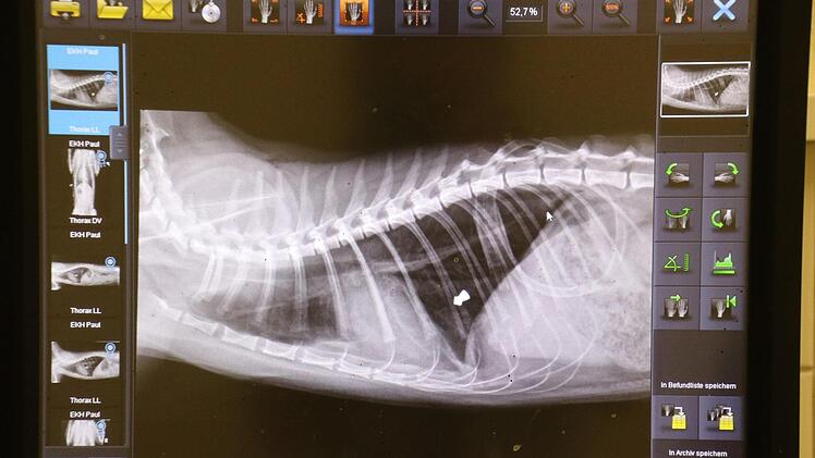 Das Hartkopfgeschoss ist auf dem Röntgenbild deutlich zu sehen.
