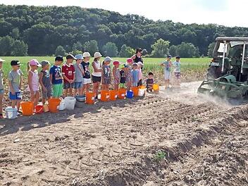 Der Kartoffelroder im Einsatz: Auf dem Traktor war Christian Reusch und zeigte, wie die Kartoffeln aus der Erde geholt werden.  Foto: Julia Kober