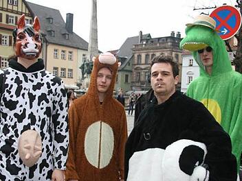 Styler, Pandas und Disko-Kühe: Die Kostüme beim Harlem Shake auf dem Marktplatz in Kulmbach waren der Hit. Fotos: Sonja Adam