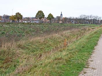 Hier westlich von Lonnerstadt soll das Gewerbegebiet Edelgraben I entstehen. Die überplante Fläche muss verkleinert werden.  Foto: Andreas Dorsch