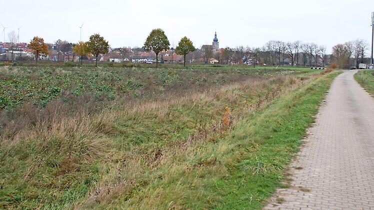 Hier westlich von Lonnerstadt soll das Gewerbegebiet Edelgraben I entstehen. Die überplante Fläche muss verkleinert werden.  Foto: Andreas Dorsch