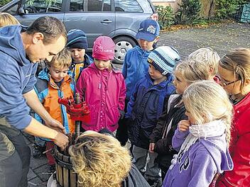 Trauben von Hand gepresst