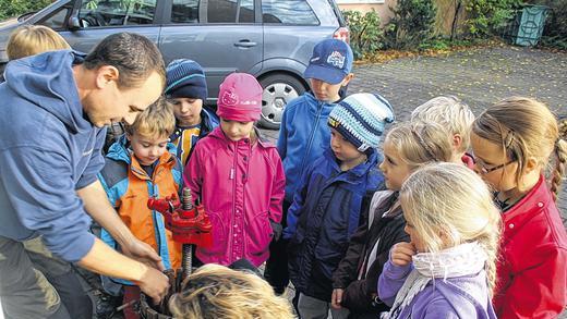 Trauben von Hand gepresst